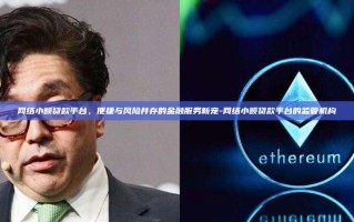 网络小额贷款平台，便捷与风险并存的金融服务新宠-网络小额贷款平台的监管机构
