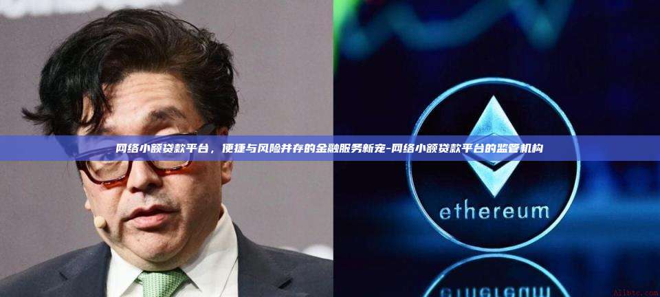 网络小额贷款平台，便捷与风险并存的金融服务新宠-网络小额贷款平台的监管机构-第1张图片-OKX官网